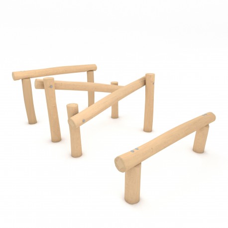29VP1274RB OSTACOLI IN ROBINIA