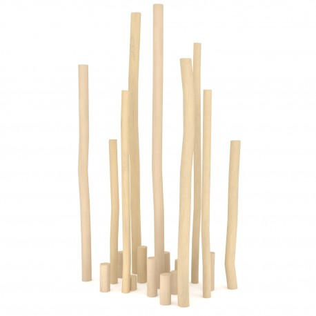 29VP1357RB PERCORSO DI EQUILIBRIO IN ROBINIA