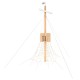 29VP1239RB ALBERO MAESTRO IN ROBINIA